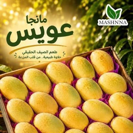 مانجا عويص 1ك
