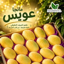 مانجا عويص 1ك