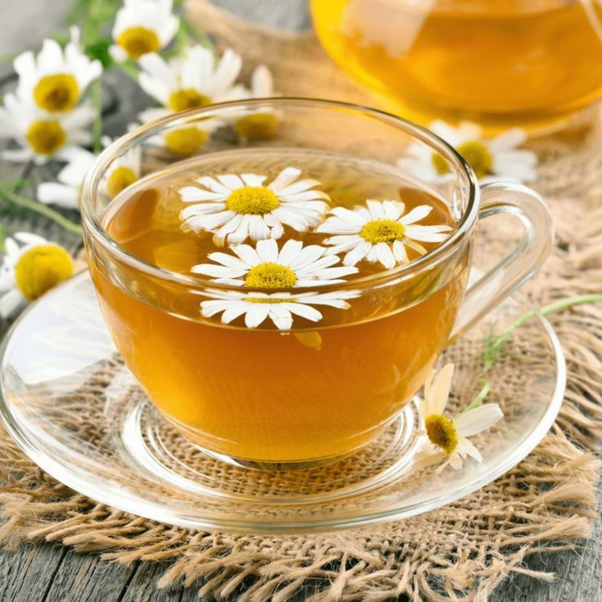 Chamomile