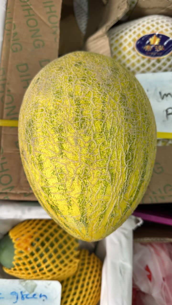 Rock Melon
