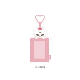 IVE [DIVE into MINIVE]  Photocard Holder