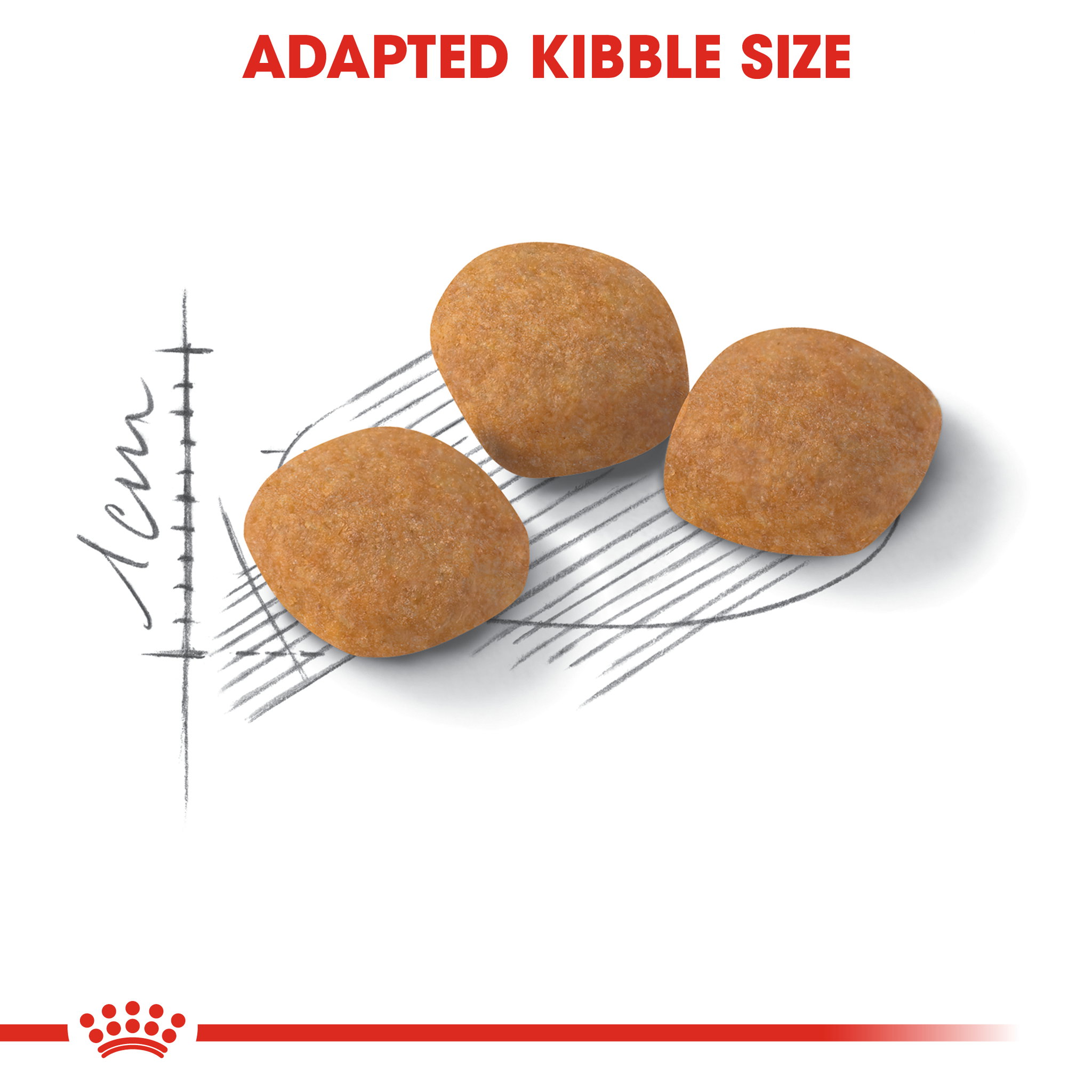 Royal Canin Protein Exigent Adult_2