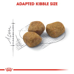 Royal Canin Indoor 7+ Adult