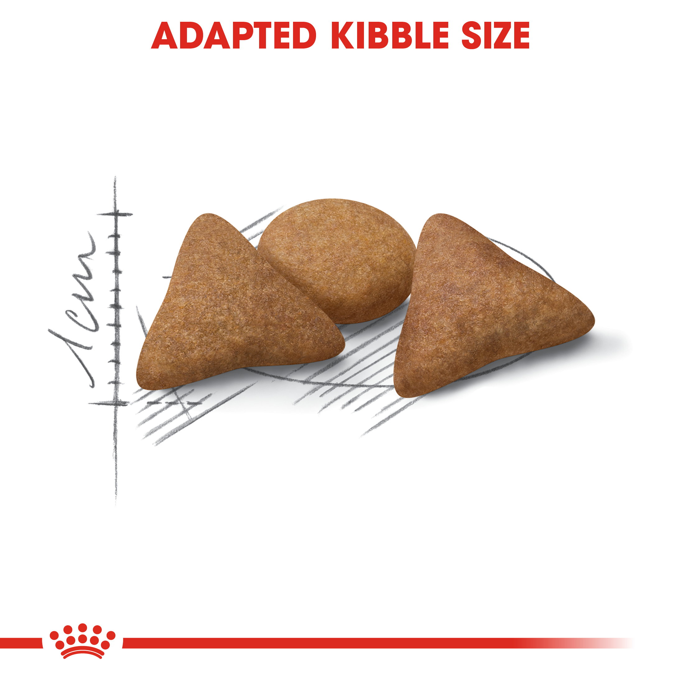 Royal Canin Indoor Appetite Control Adult _2