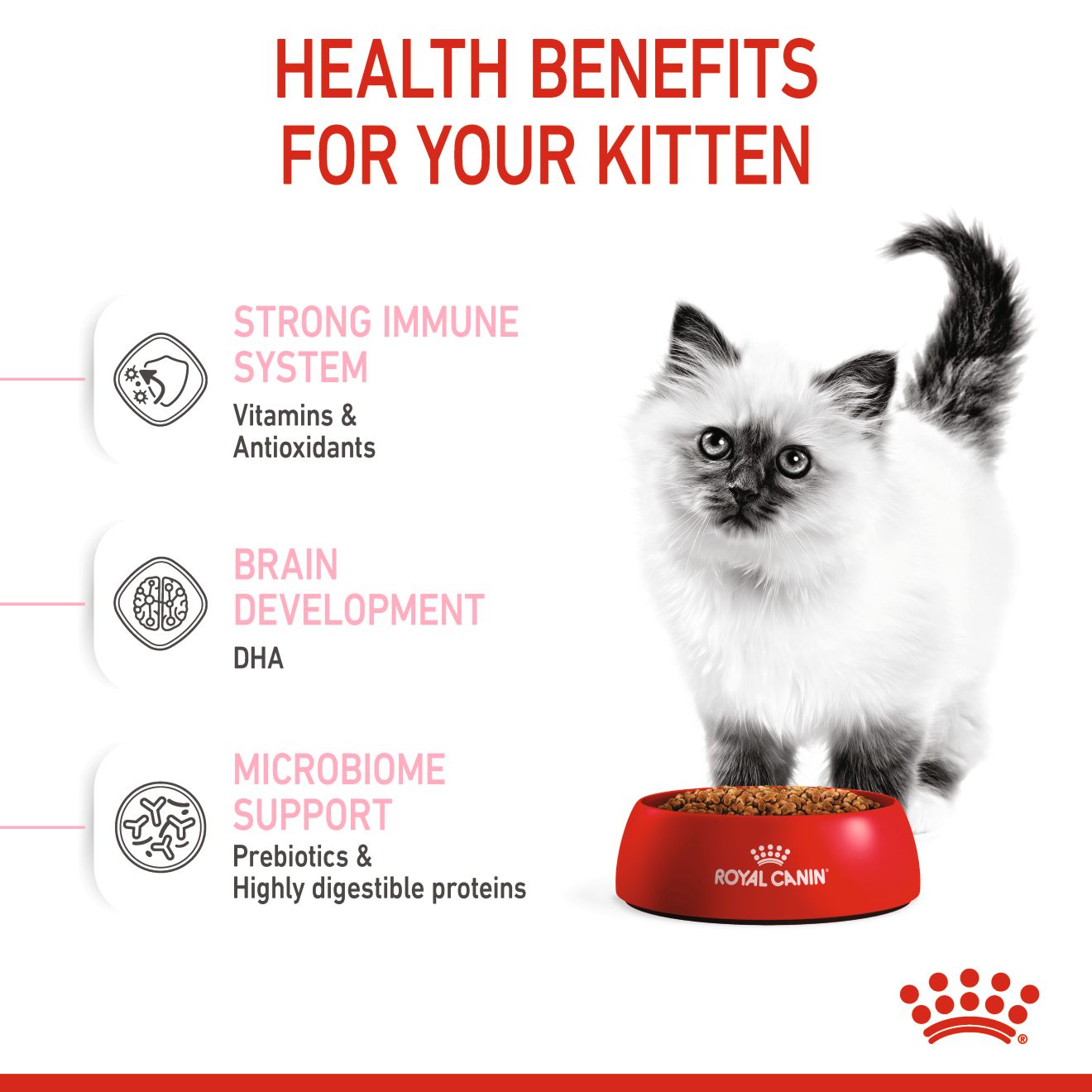 Royal Canin Kitten_2