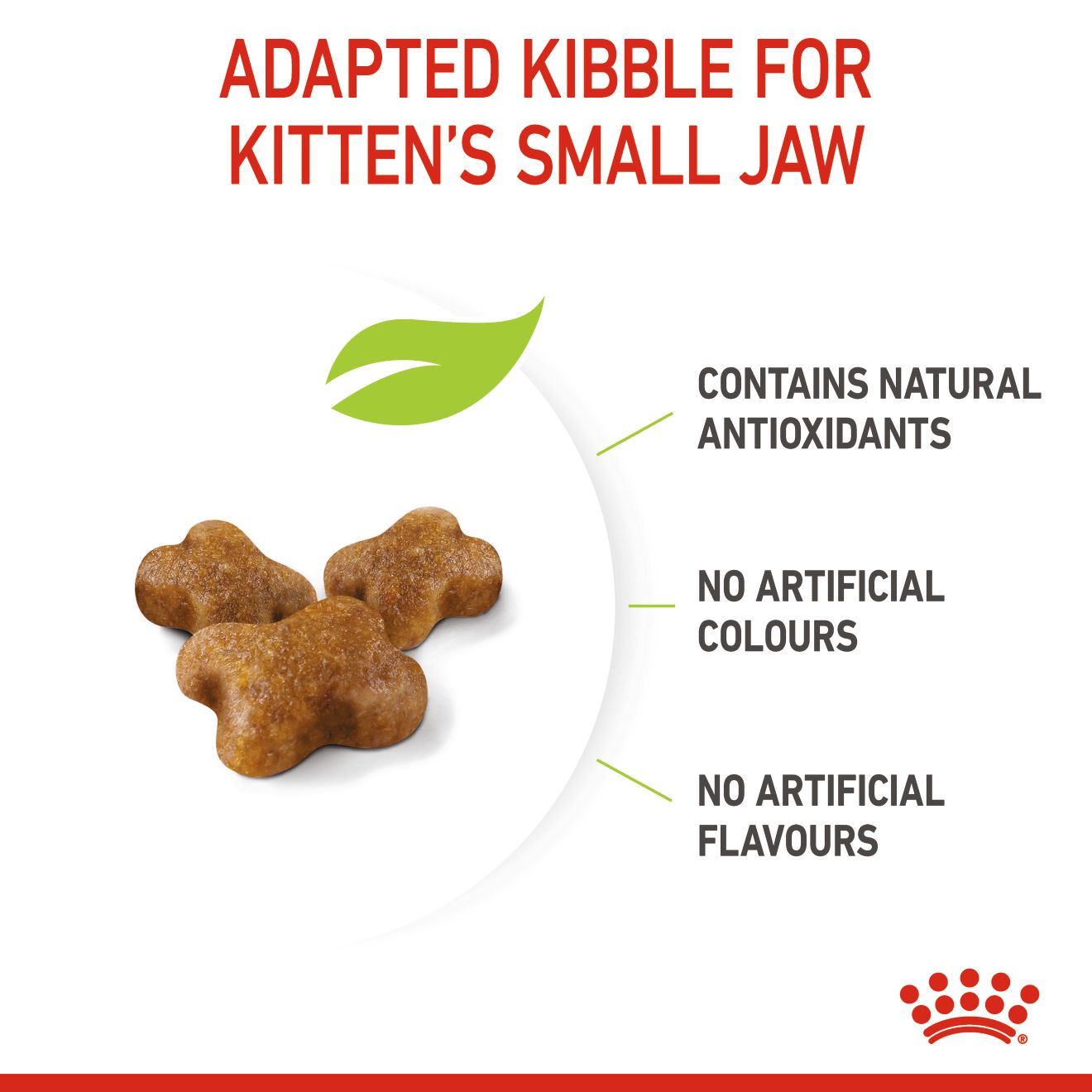 Royal Canin Kitten_3