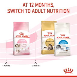 Royal Canin Kitten