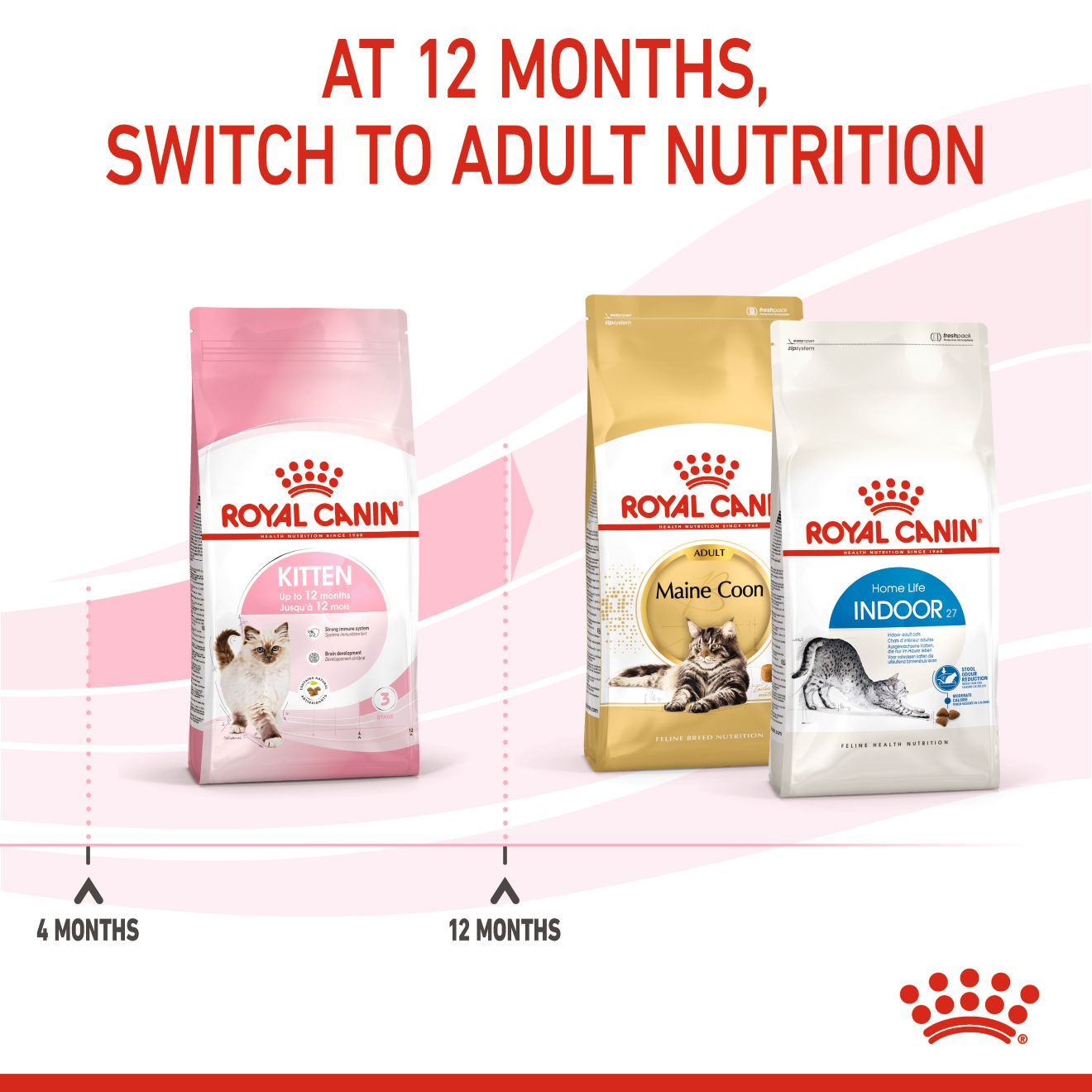 Royal Canin Kitten_6