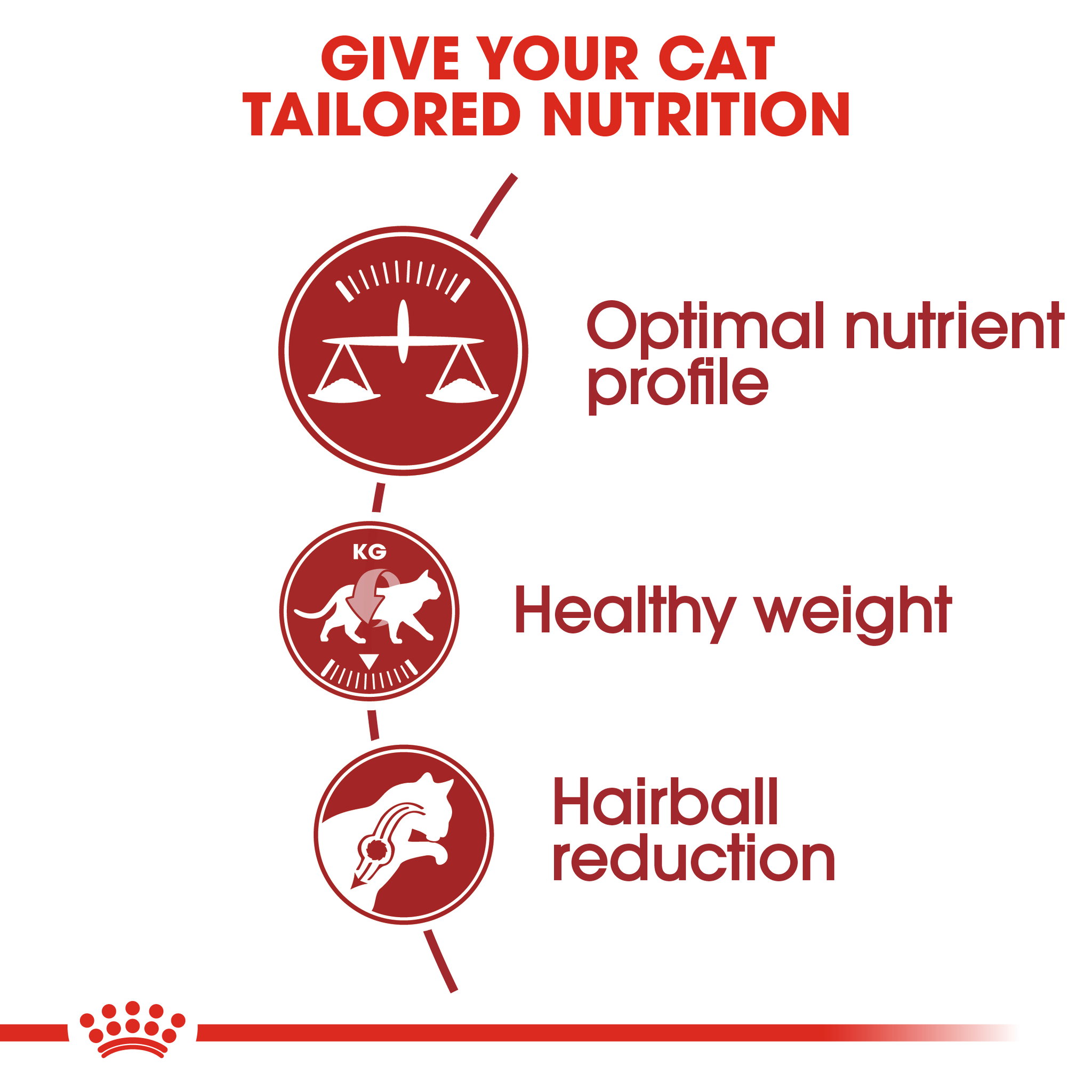 Royal Canin Fit 32 Adult _1