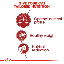 Royal Canin Fit 32 Adult 