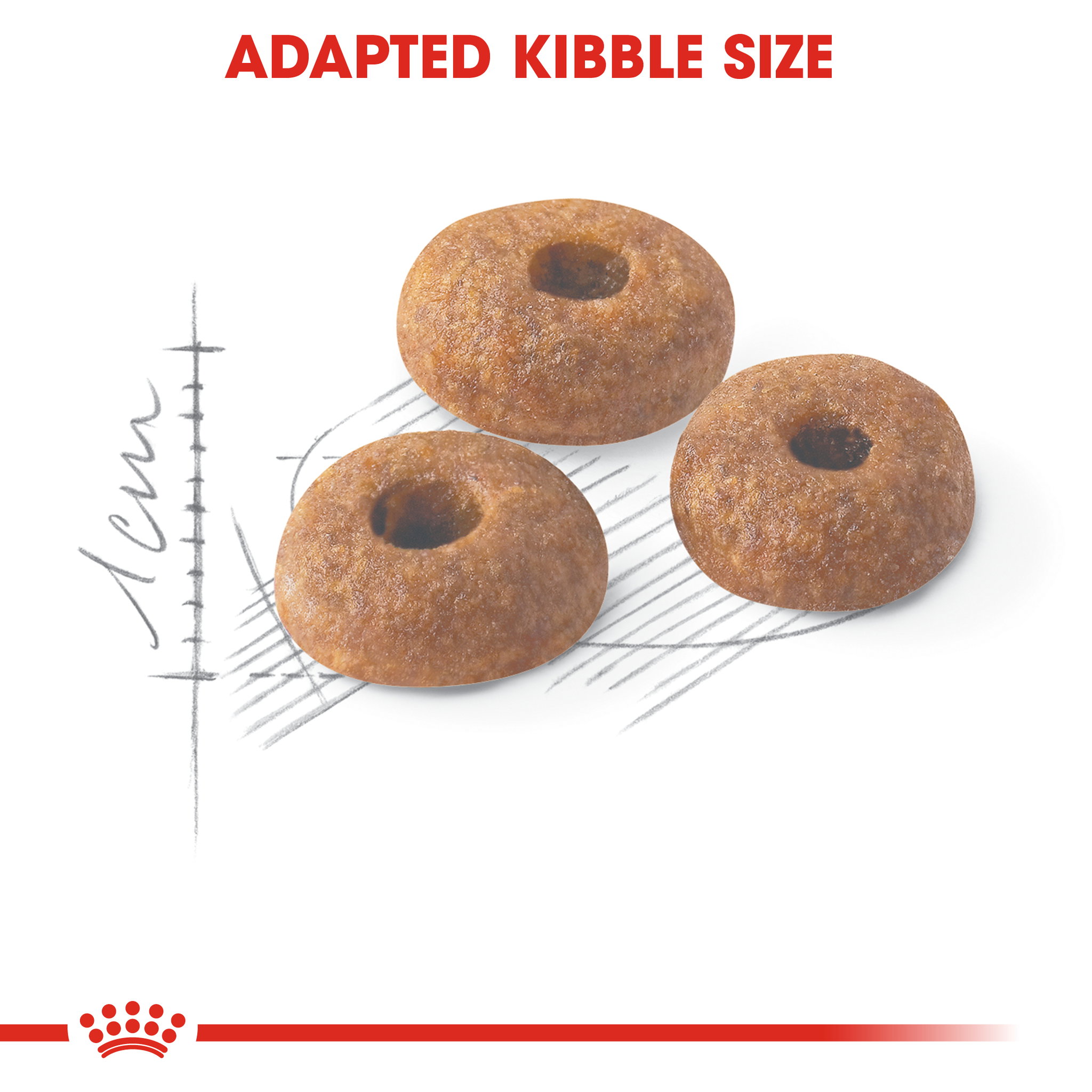 Royal Canin Fit 32 Adult _2