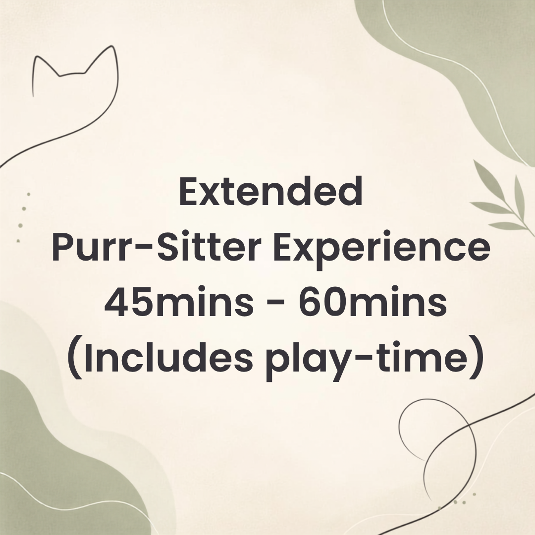 Extended Purr-Sitter Experience (45mins - 60mins)