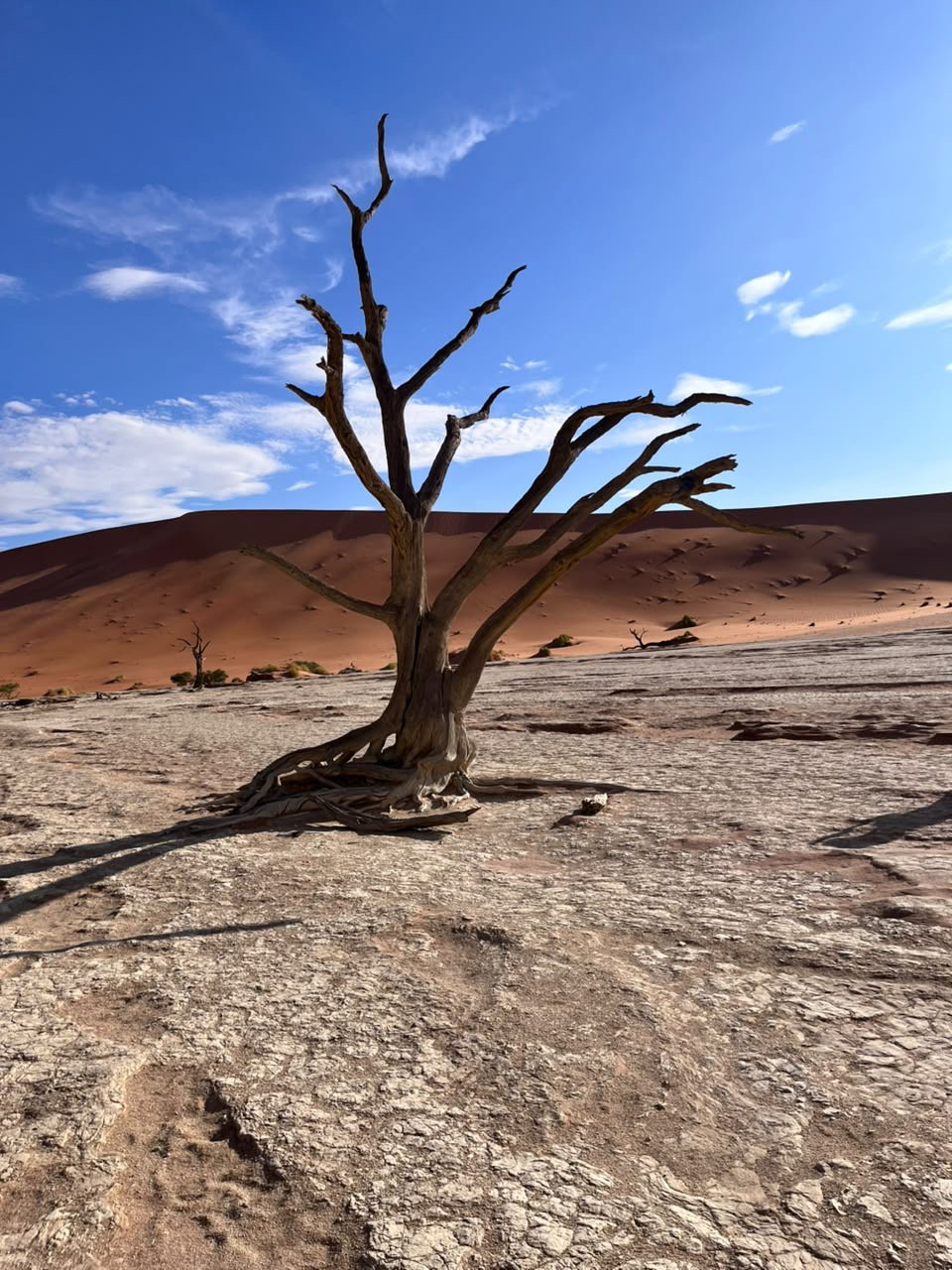 Sossusvlei 3 day trip