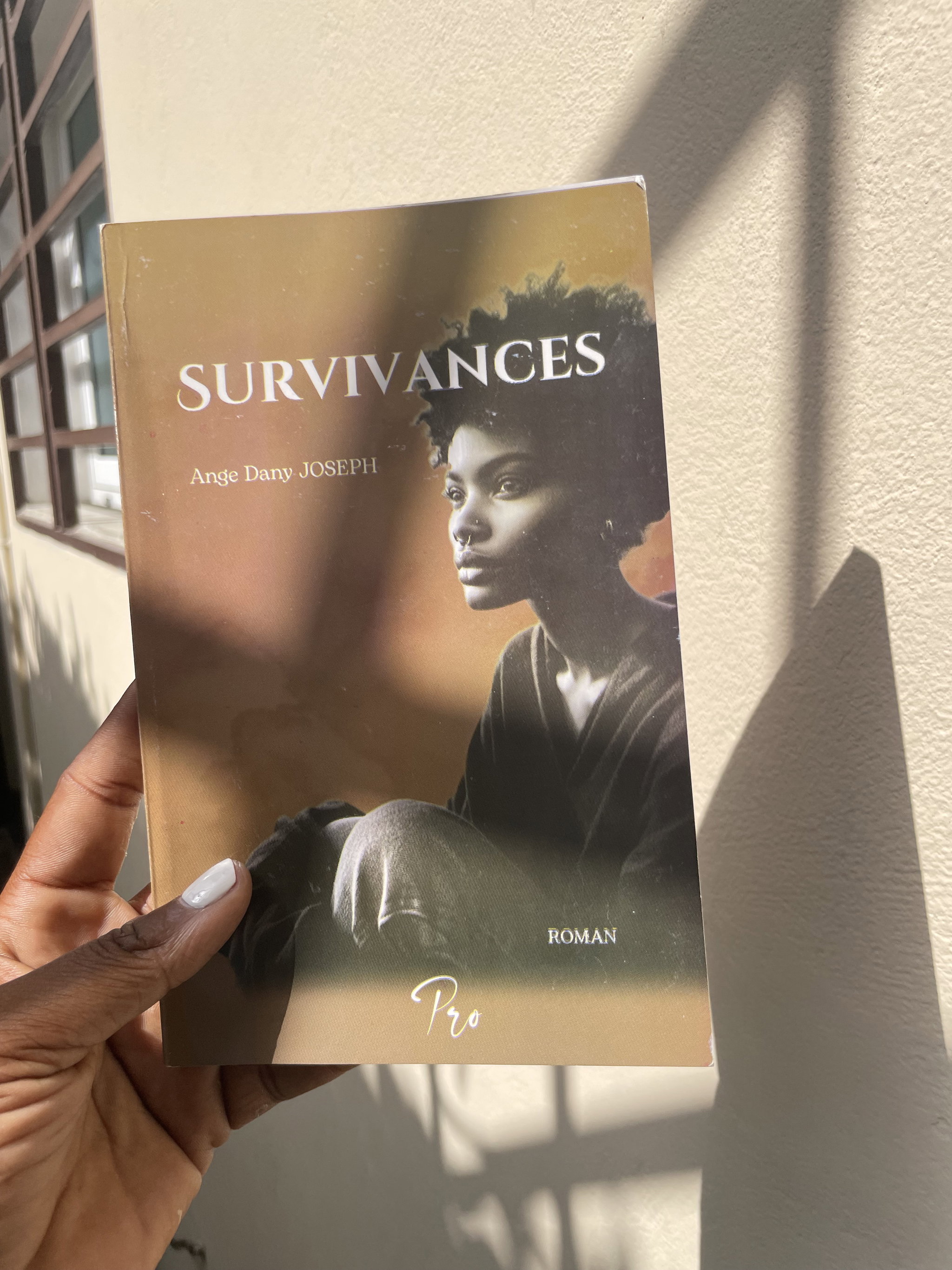 Survivances de Ange Dany Joseph_0