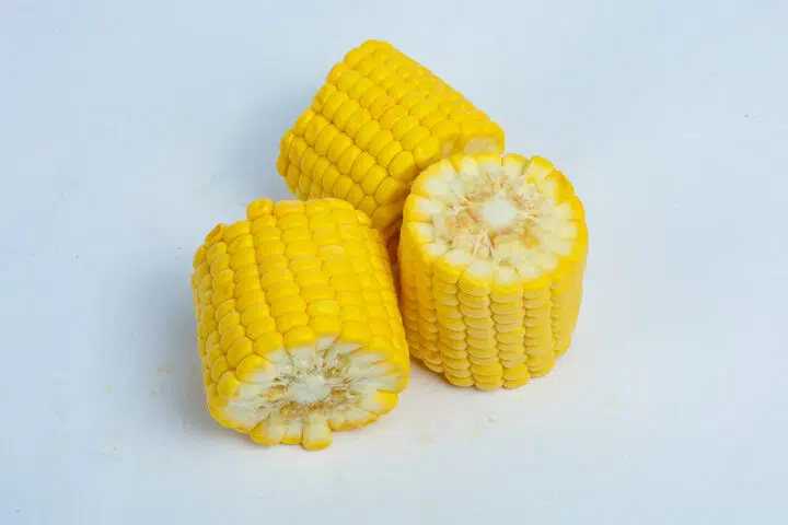 Sweet Corn🌽