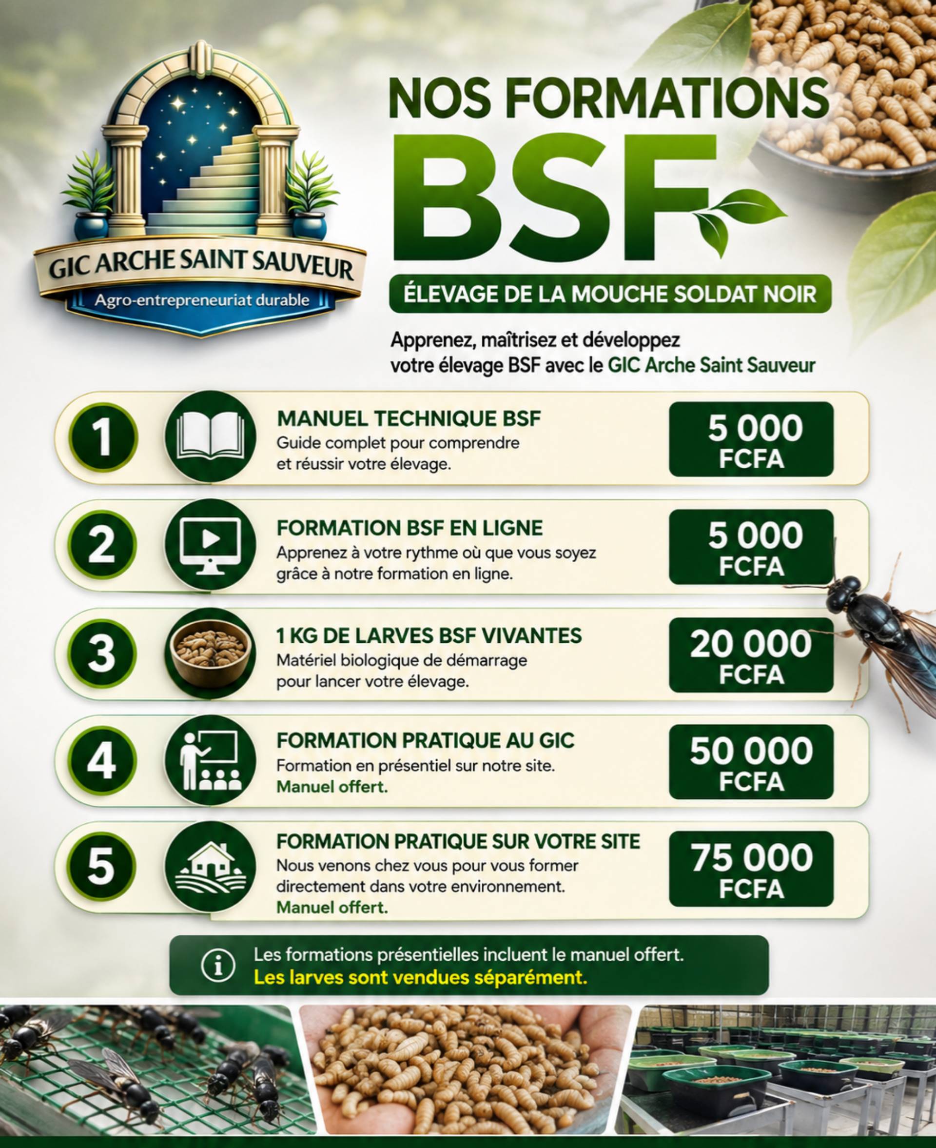 Nos formations BSF_0