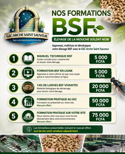 Nos formations BSF