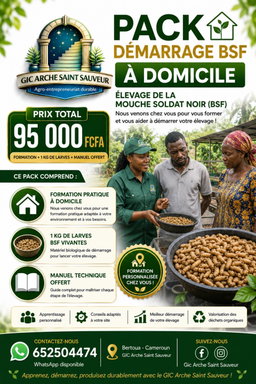 BSF a domicile