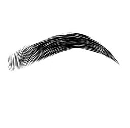 Cejas.