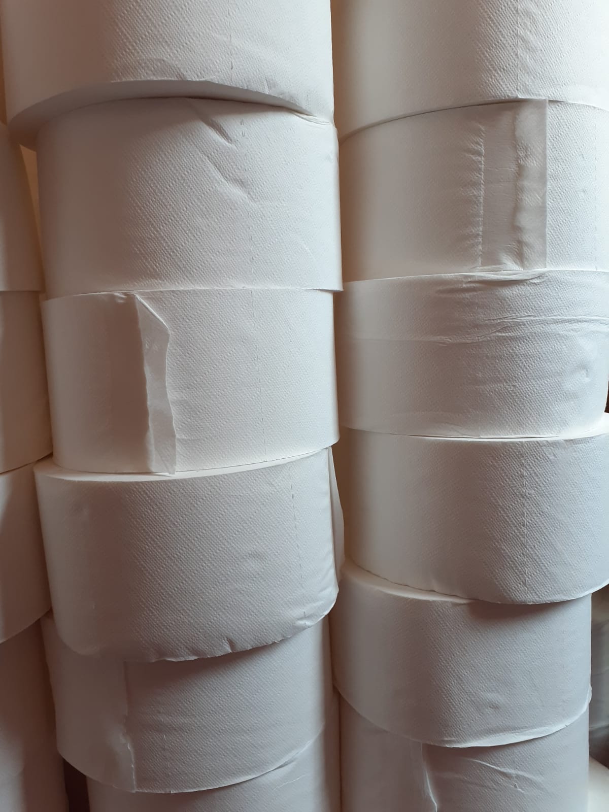 JUMBO Tissues_0