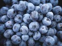 Arándanos Yumbo_0