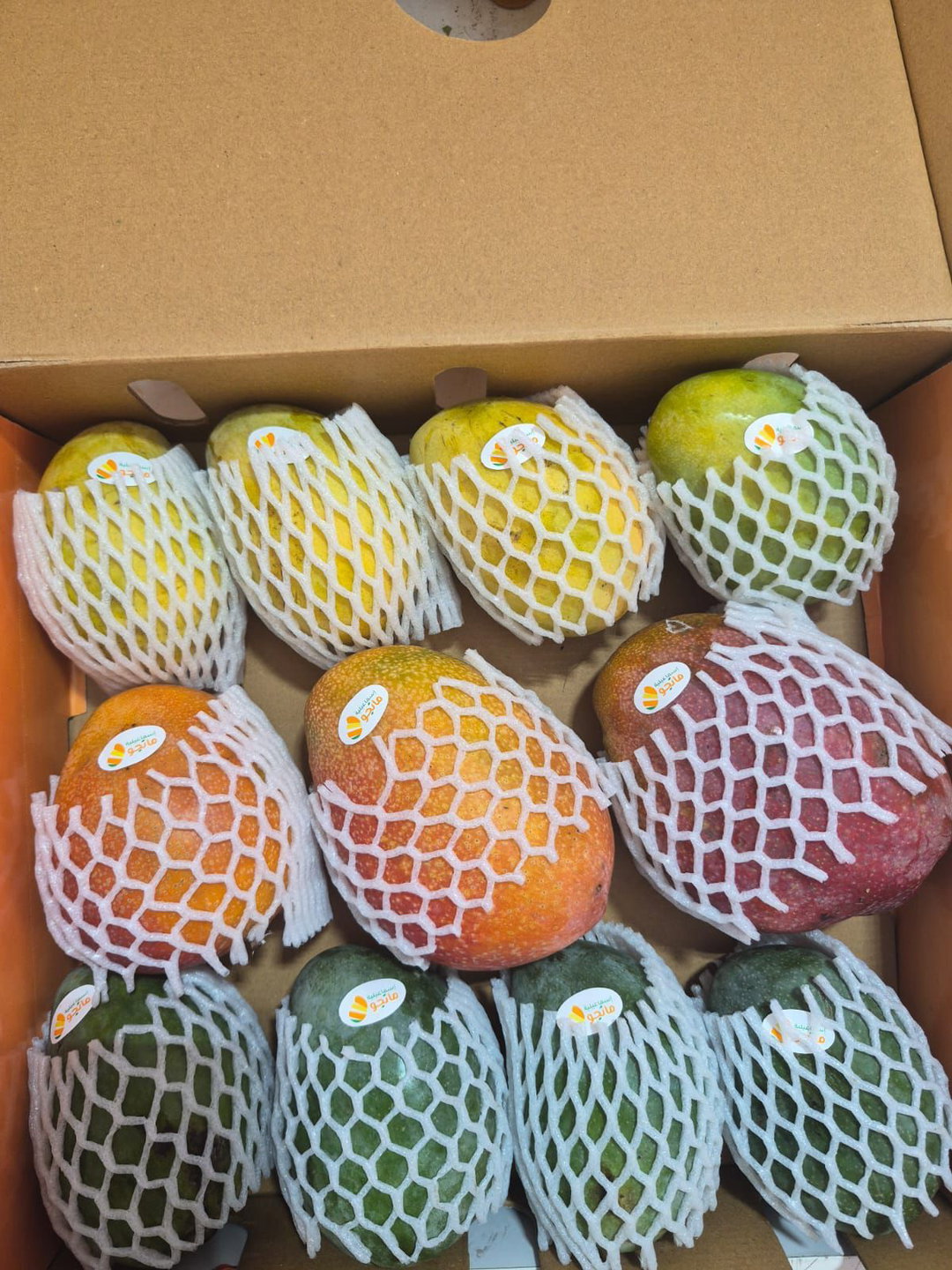 Mango Trio