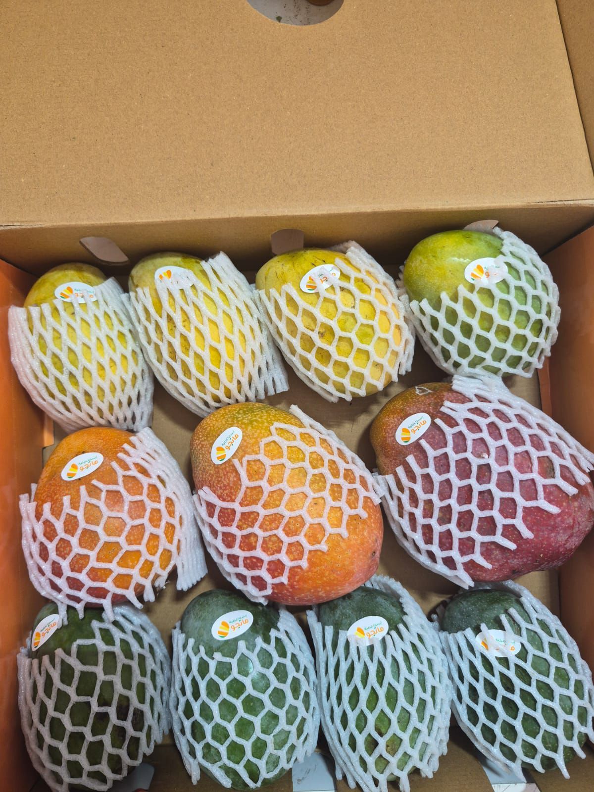 Mango Trio_0