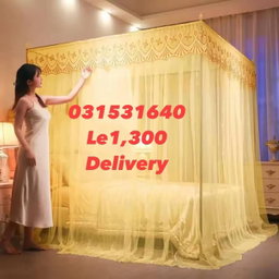 Mosquito Bed net