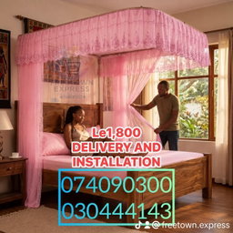 Two Stand sliding mosquito bed nets