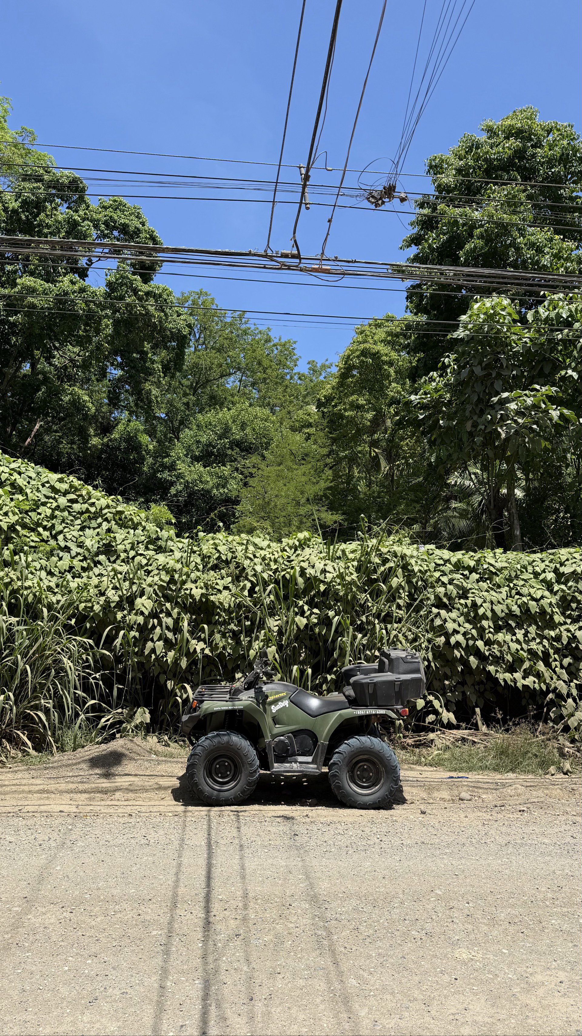 Yamaha Kodiak Fully Automatic Quad_0
