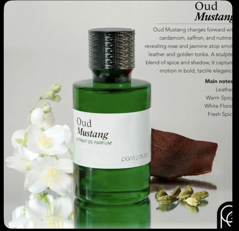 Oud mustang_0