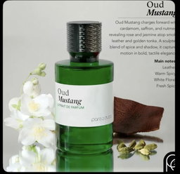 Oud mustang