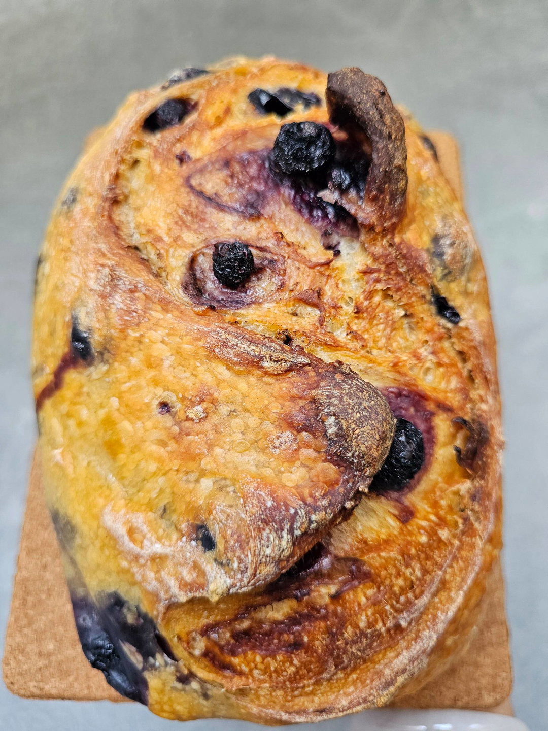 Blueberry Lemon 🍋 Sourdough