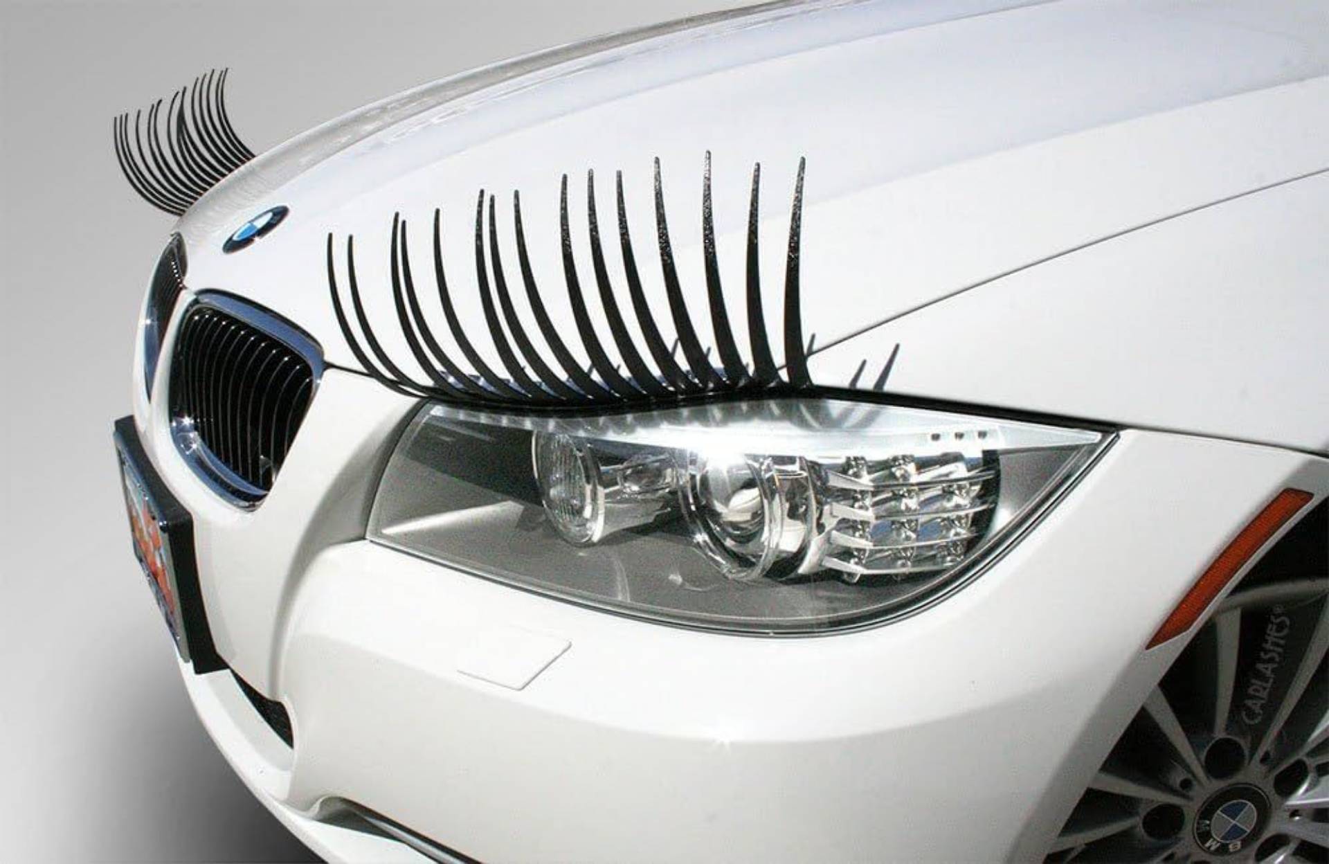 Car Eye Lashes_0