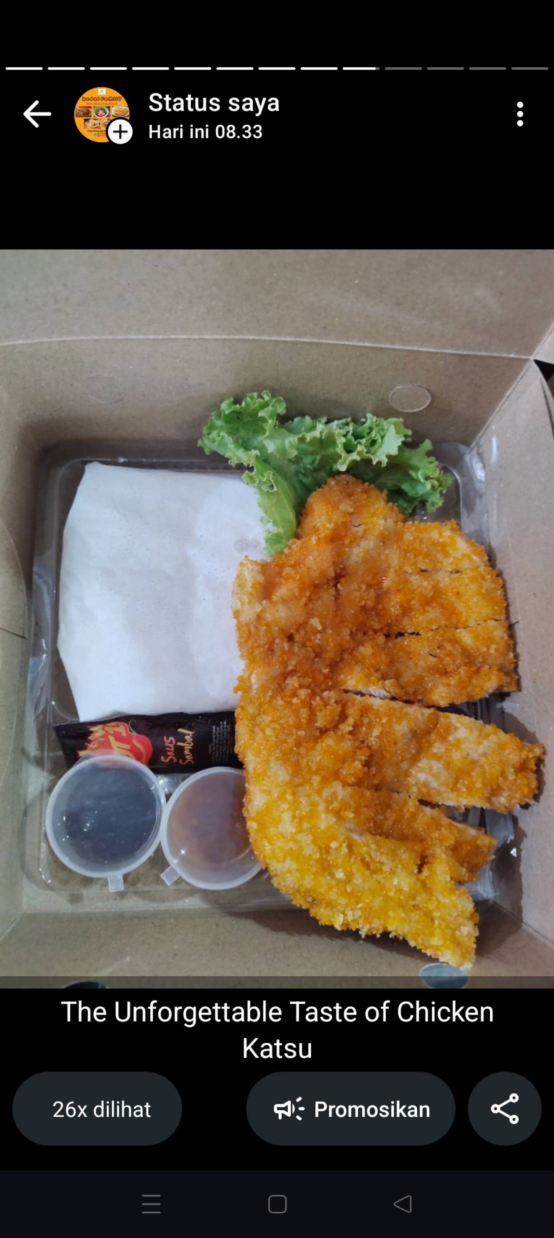 Chicken katsu_0