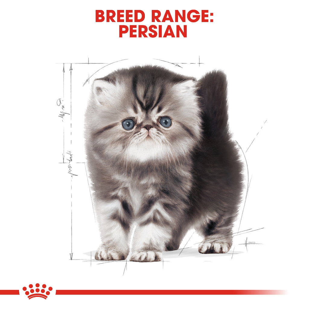 Royal Canin Persian Kitten_1