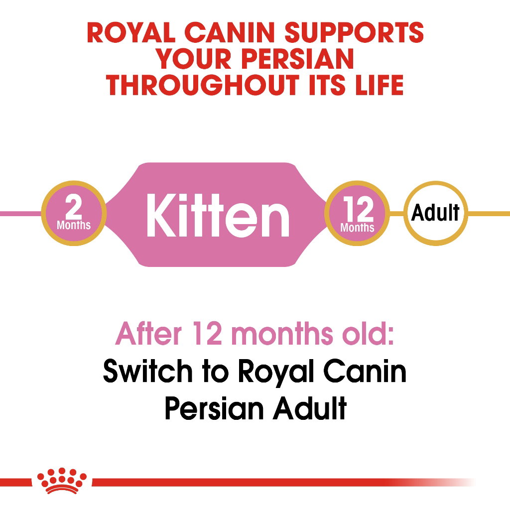 Royal Canin Persian Kitten_4