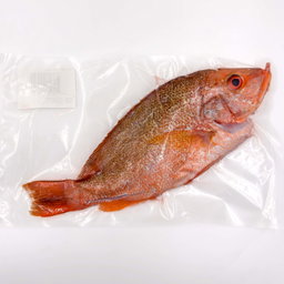 Wild Caught Red Snapper Gutted/butterfly 650G