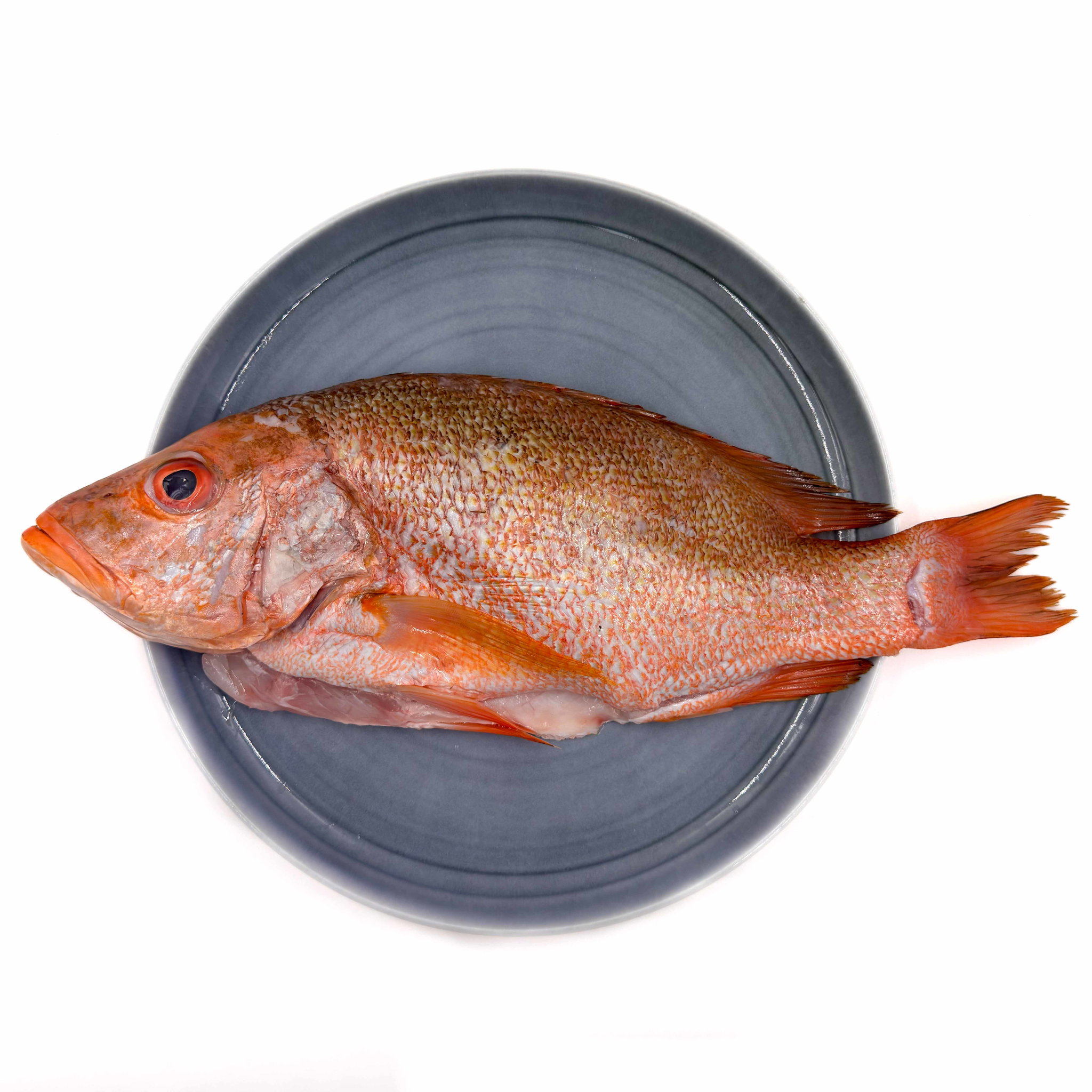 Wild Caught Red Snapper Gutted/butterfly 650G_2