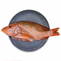 Wild Caught Red Snapper Gutted/butterfly 650G