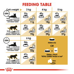 Royal Canin Persian Adult