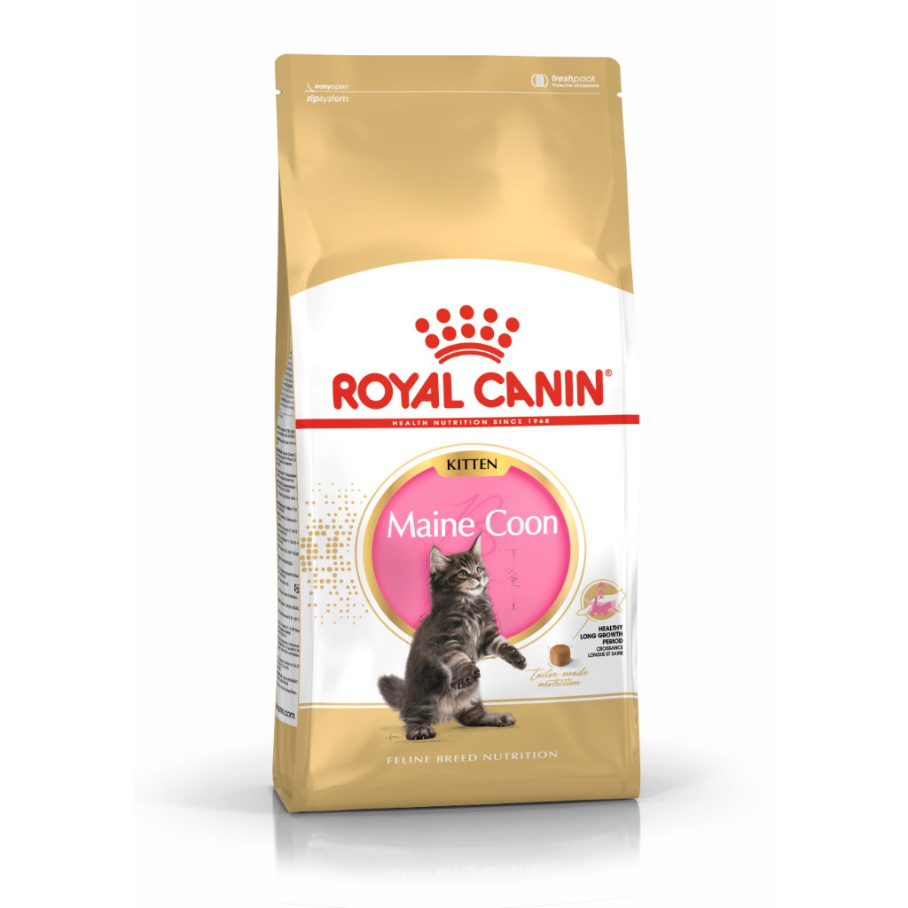 Royal Canin Maine Coon Kitten