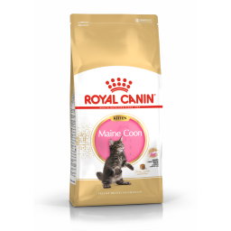 Royal Canin Maine Coon Kitten