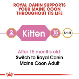 Royal Canin Maine Coon Kitten