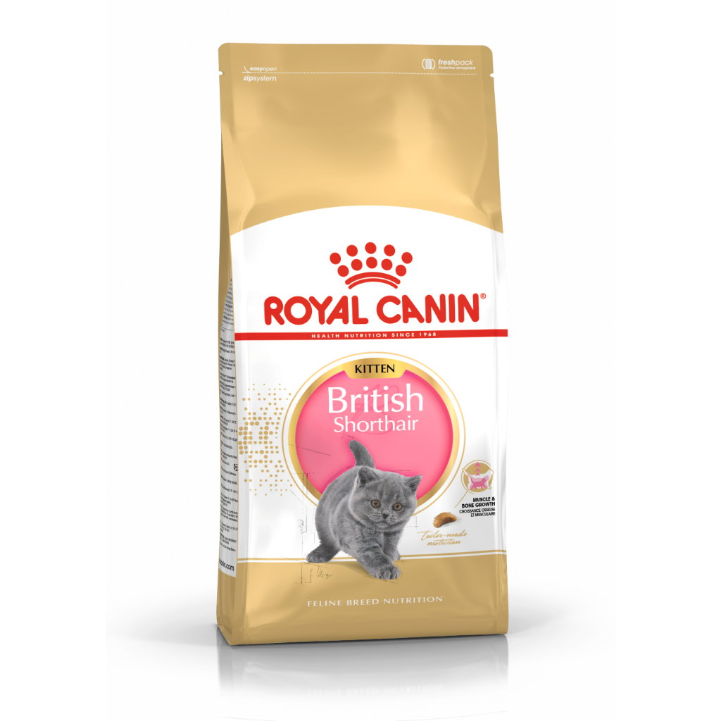 Royal Canin British Shorthair Kitten