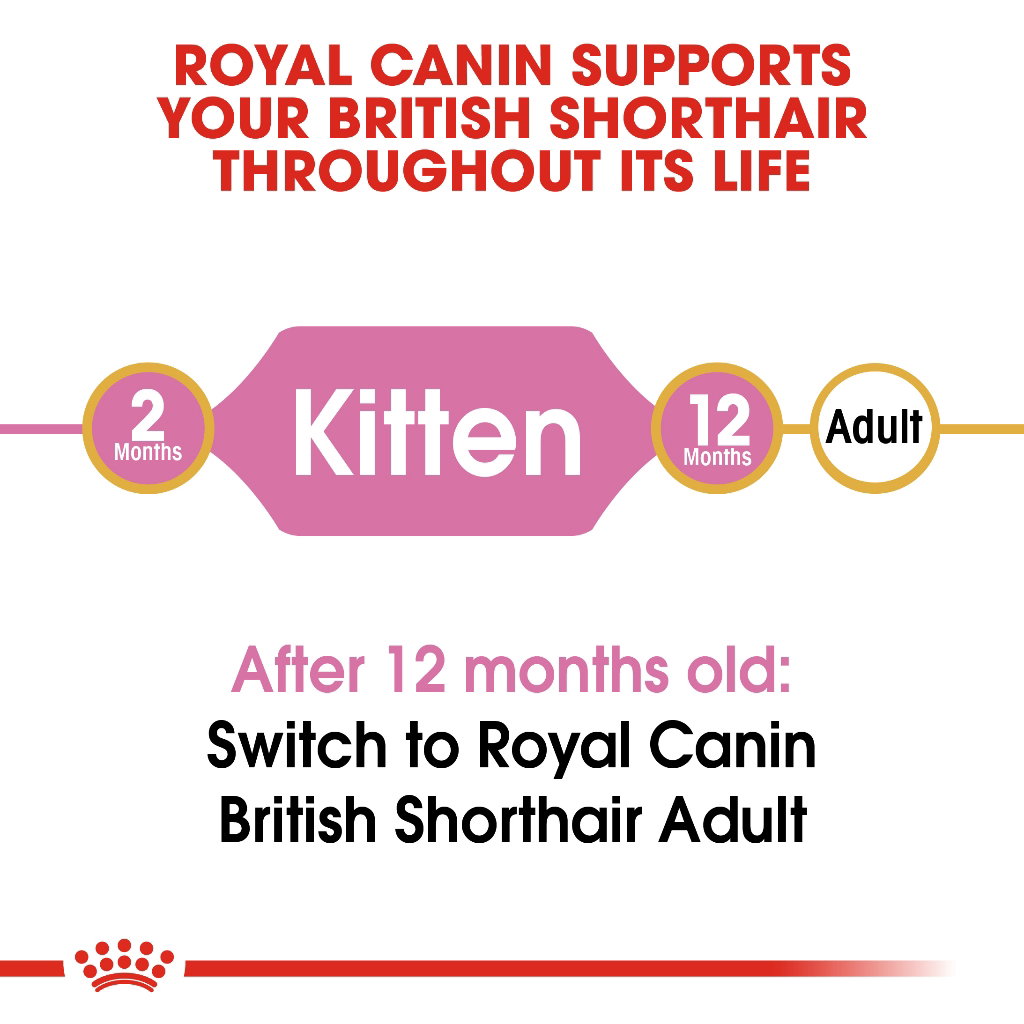 Royal Canin British Shorthair Kitten_5