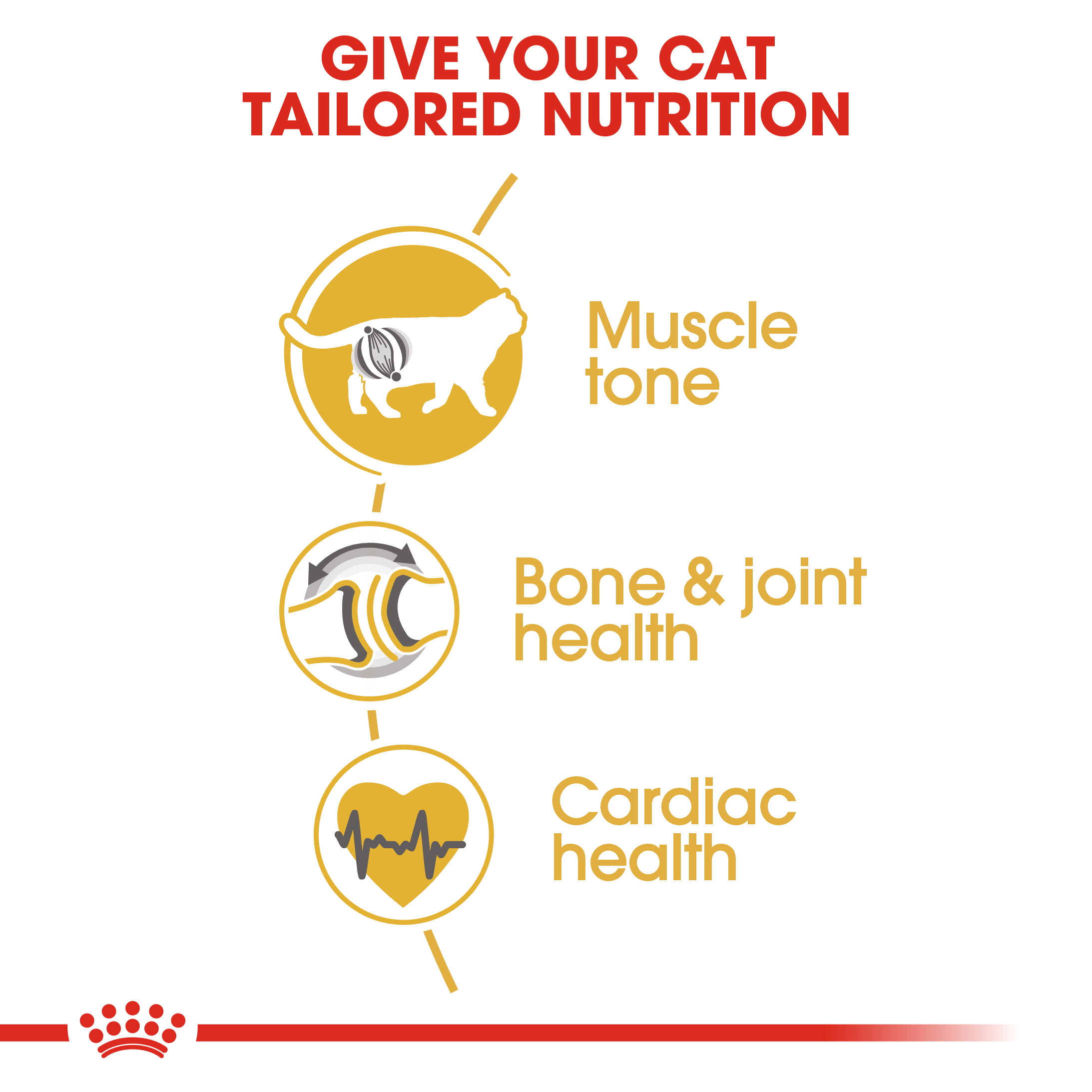 Royal Canin British Shorthair Adult_3