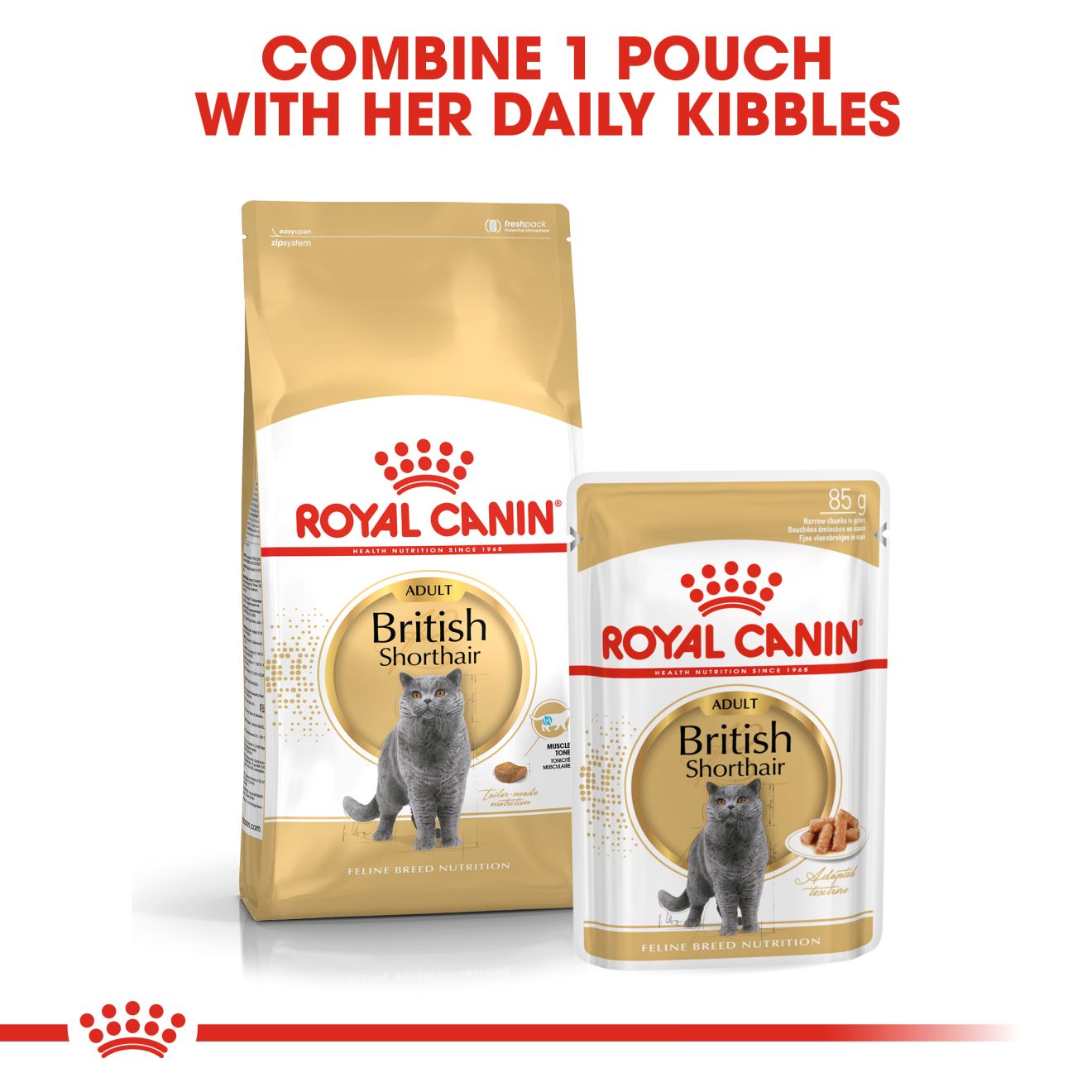 Royal Canin British Shorthair Adult_4