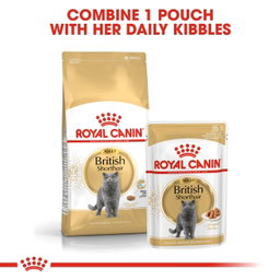Royal Canin British Shorthair Adult