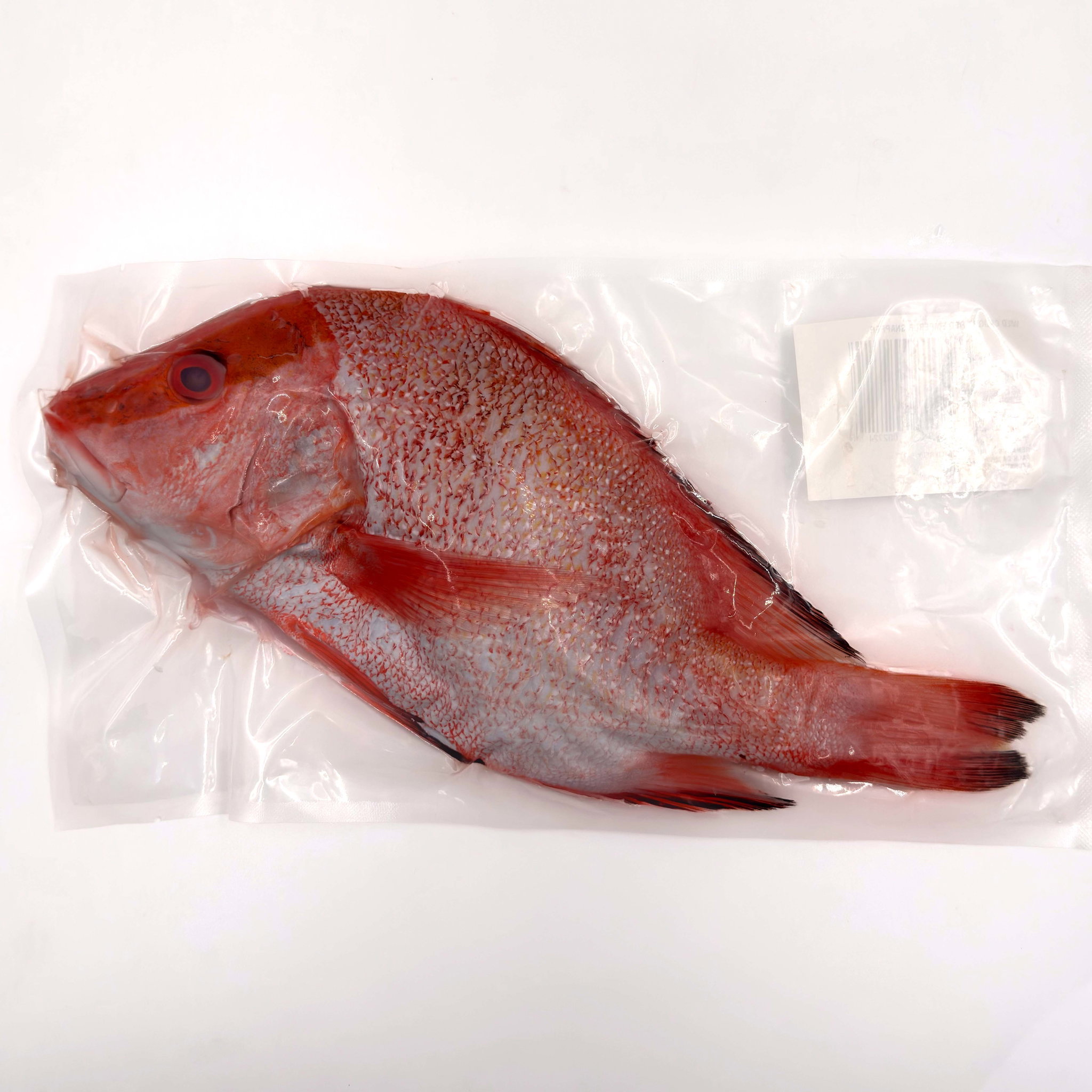 Wild Caught Red Emperor Snapper Gutted/butterfly 650G_0